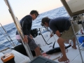 catamaran holidays greece