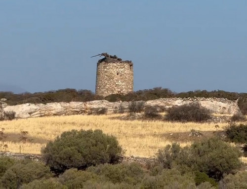 Sailing for Serenity: 2026 Minor Cyclades Guide | Antonis Biskentzis